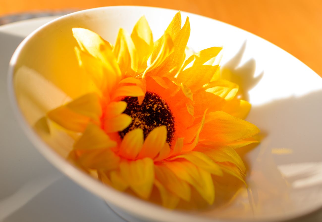 House in Cambridge - Riverside